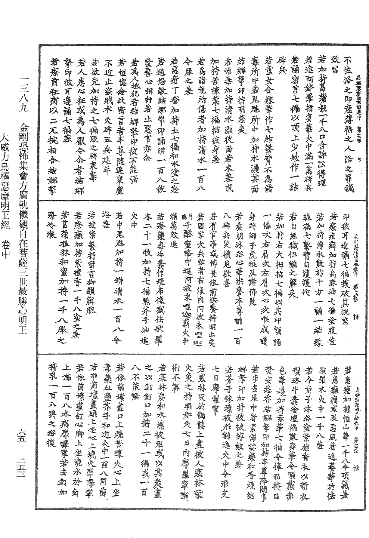 金剛恐怖集會方廣軌儀觀自在菩薩三世最勝心明王大威力烏樞瑟摩明王經《中華大藏經》_第65冊_第0253頁