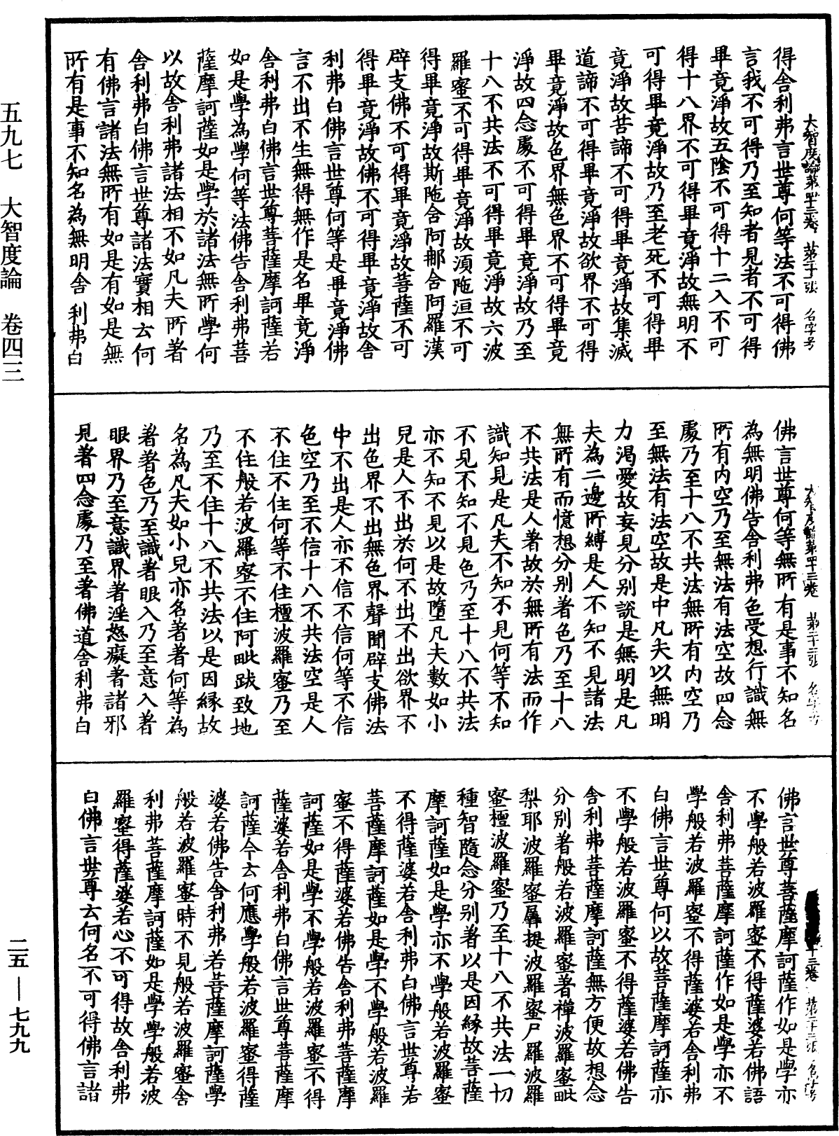 大智度論《中華大藏經》_第25冊_第799頁