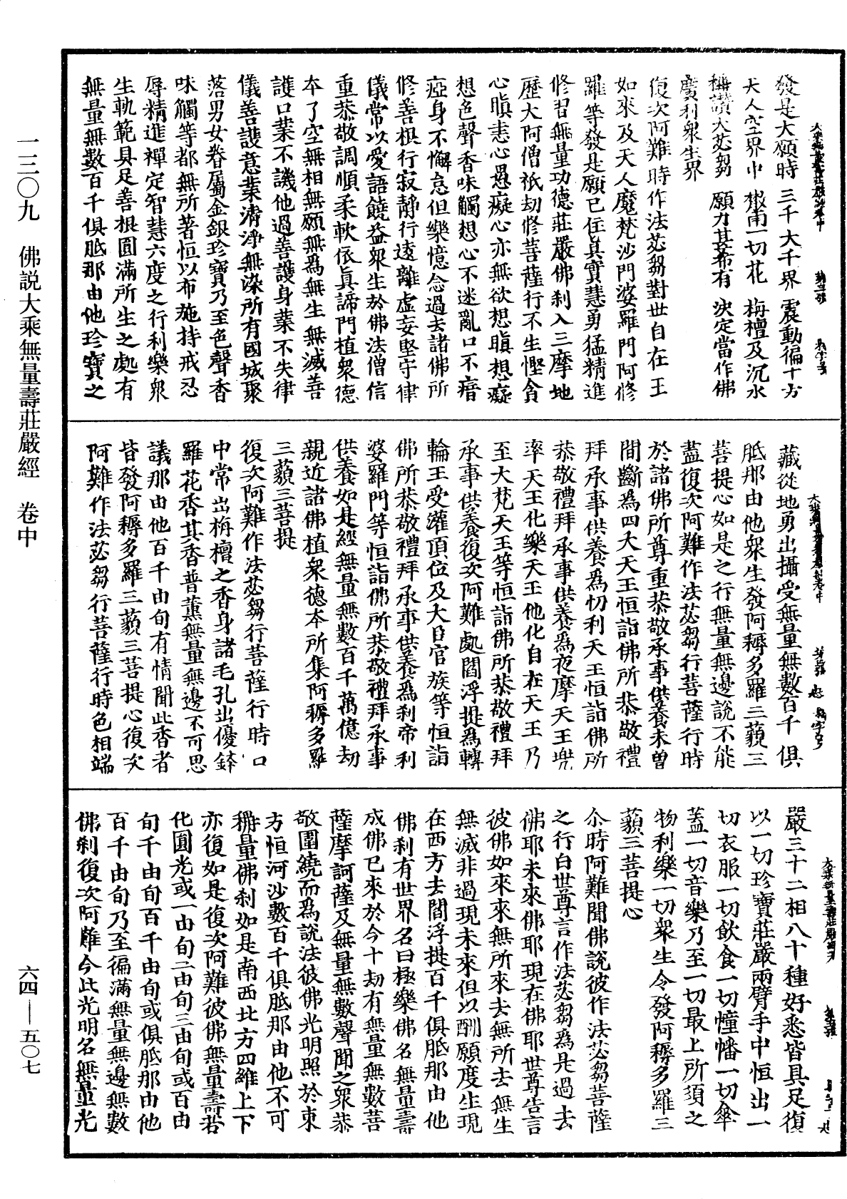 佛說大乘無量壽莊嚴經《中華大藏經》_第64冊_第0507頁