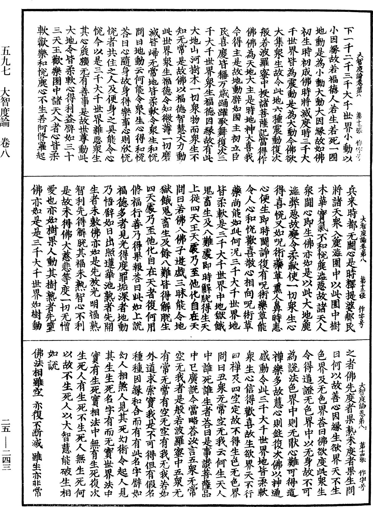 大智度論《中華大藏經》_第25冊_第243頁