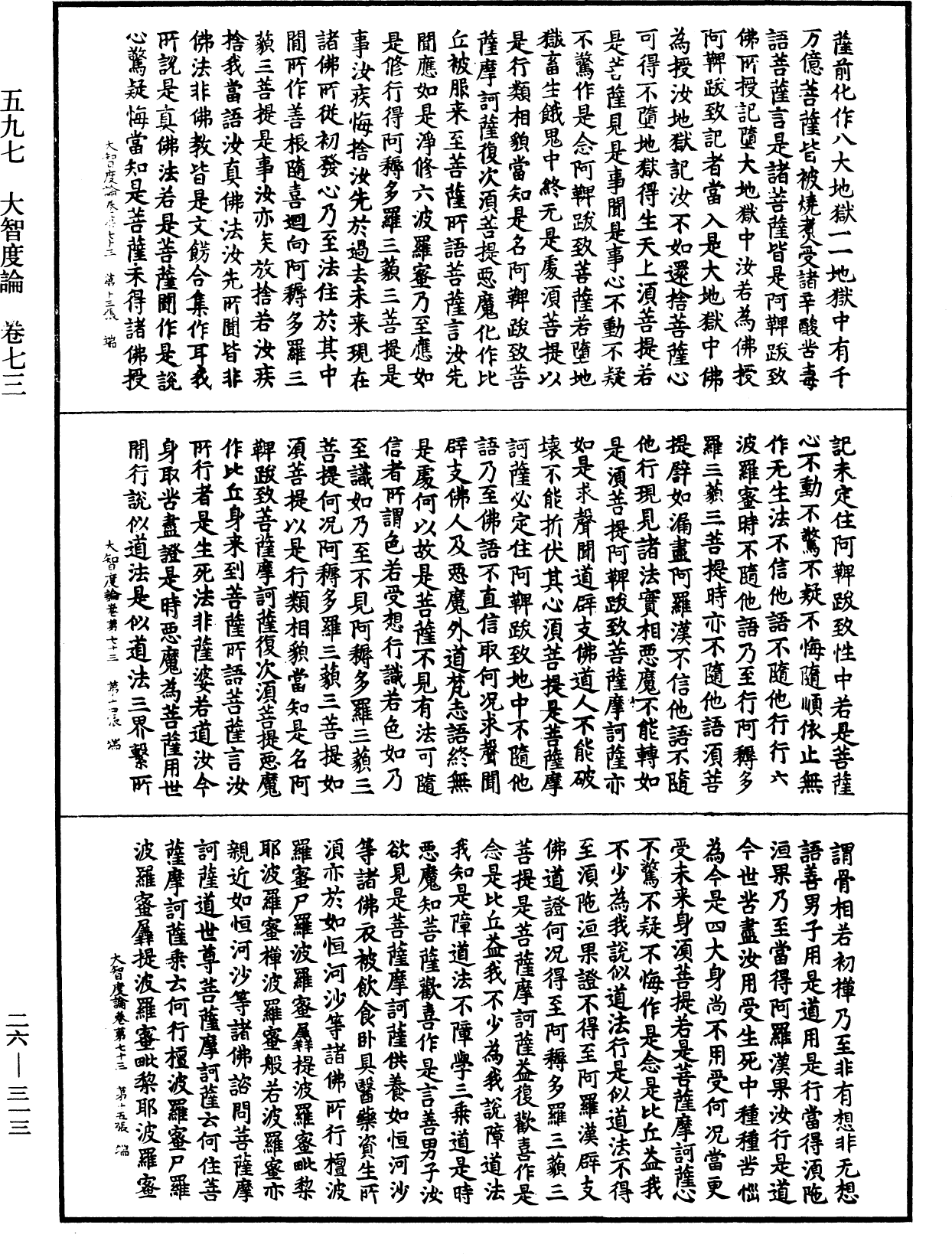 大智度論《中華大藏經》_第26冊_第313頁