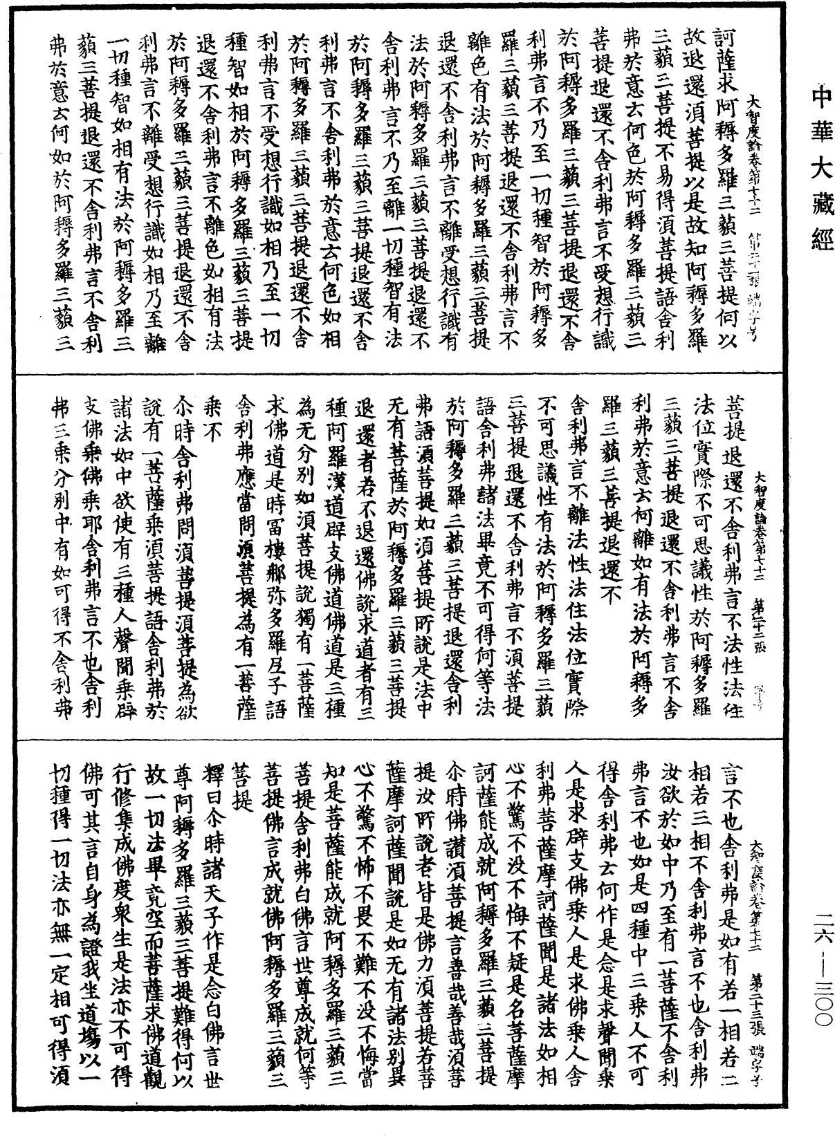 大智度論《中華大藏經》_第26冊_第300頁