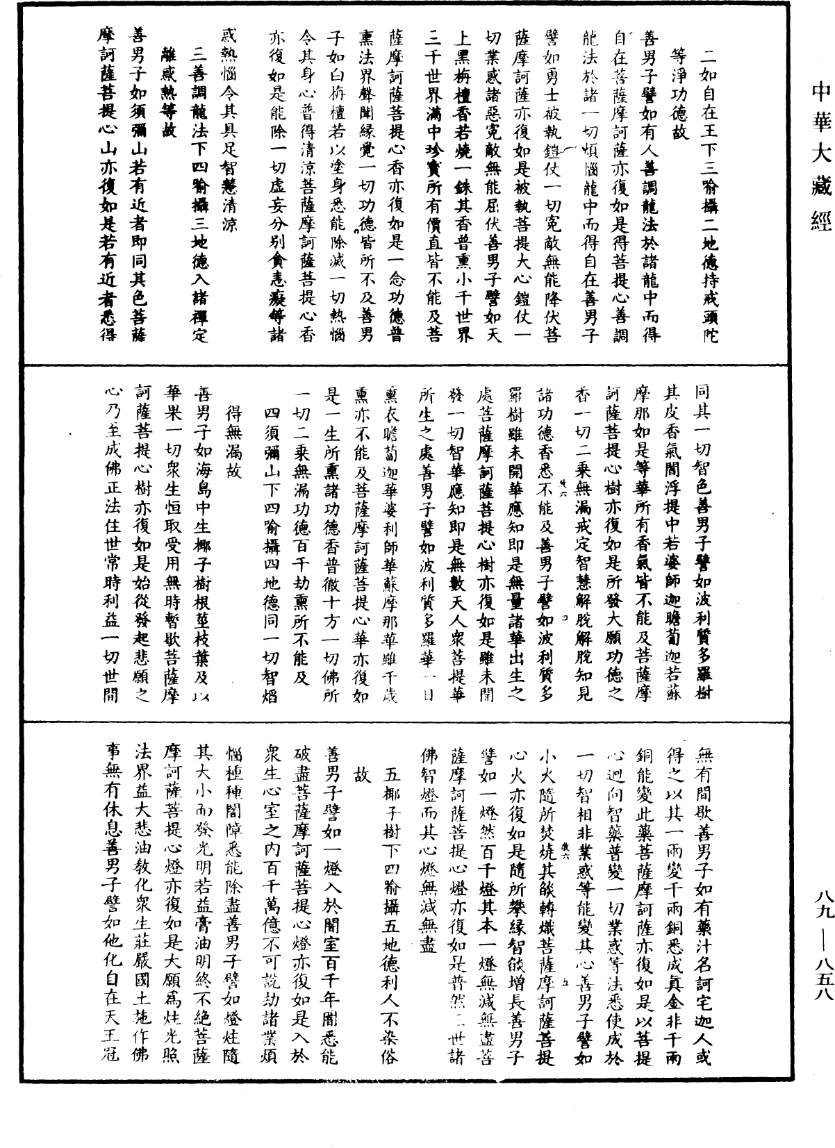 大方廣佛華嚴經疏鈔會本《中華大藏經》_第89冊_第858頁