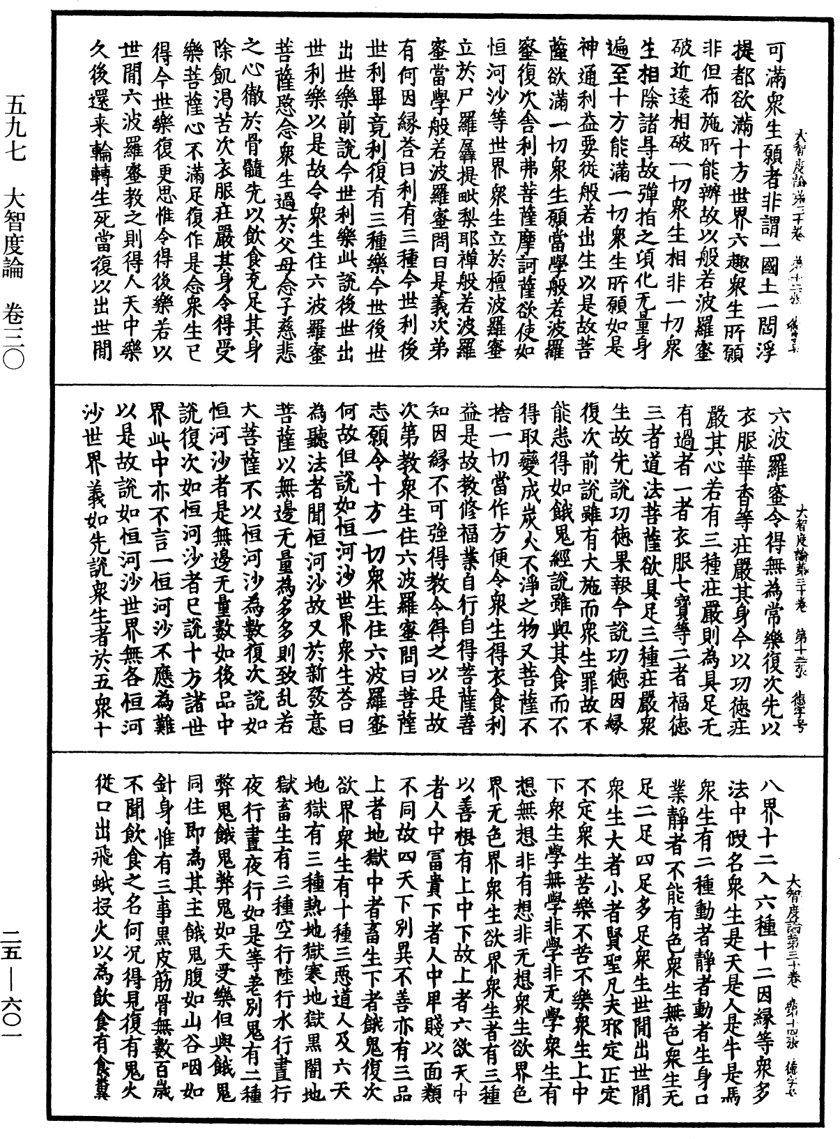 大智度論《中華大藏經》_第25冊_第601頁