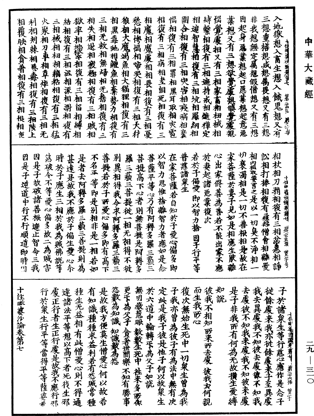 十住毗婆沙論《中華大藏經》_第29冊_第0310頁