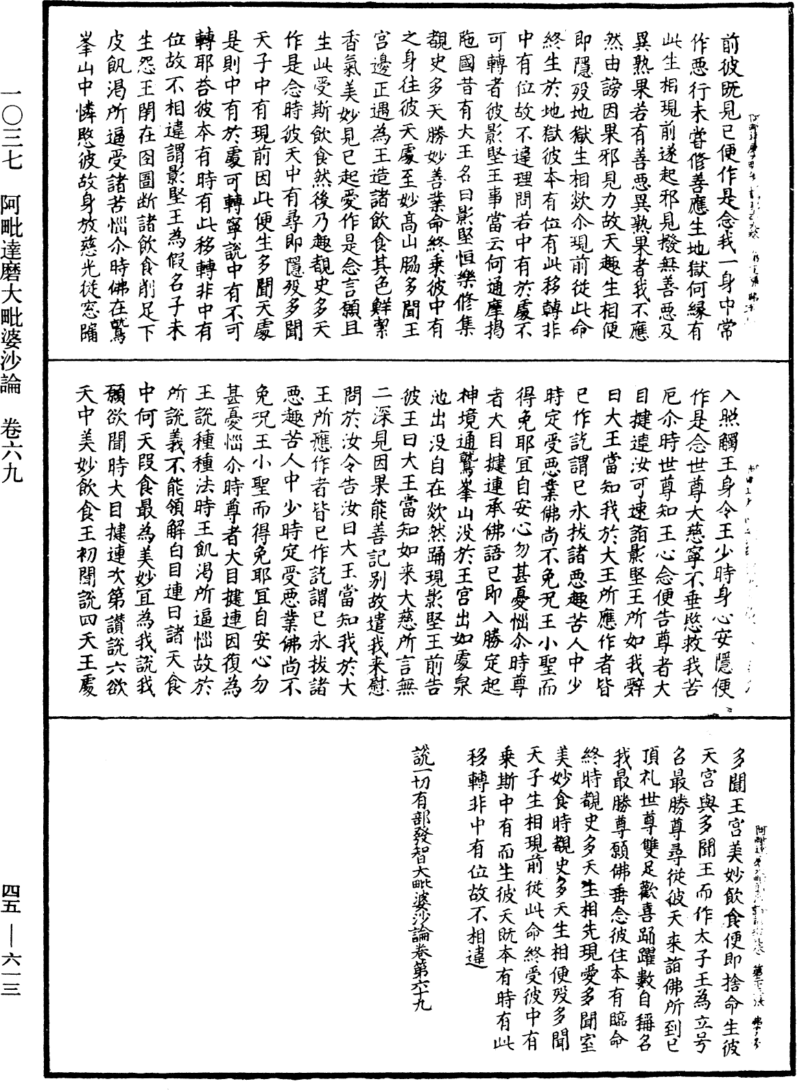 阿毗達磨大毗婆沙論《中華大藏經》_第45冊_第613頁