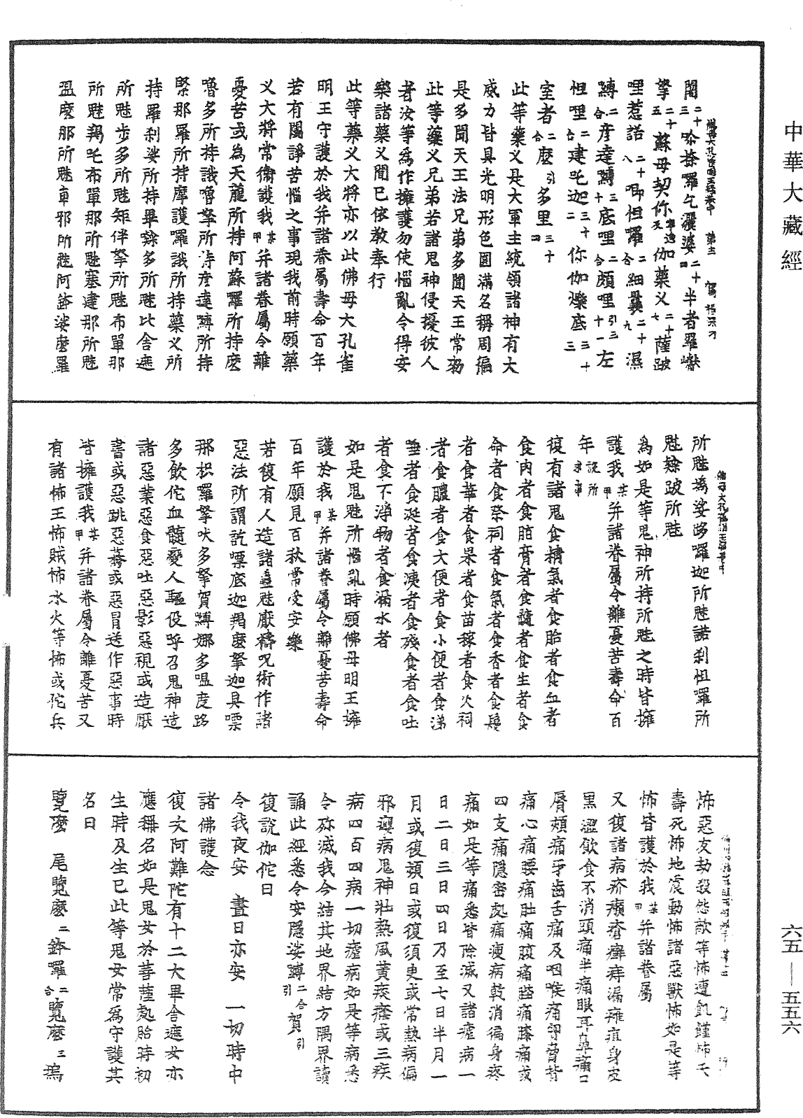 佛母大孔雀明王经《中华大藏经》_第65册_第0556页