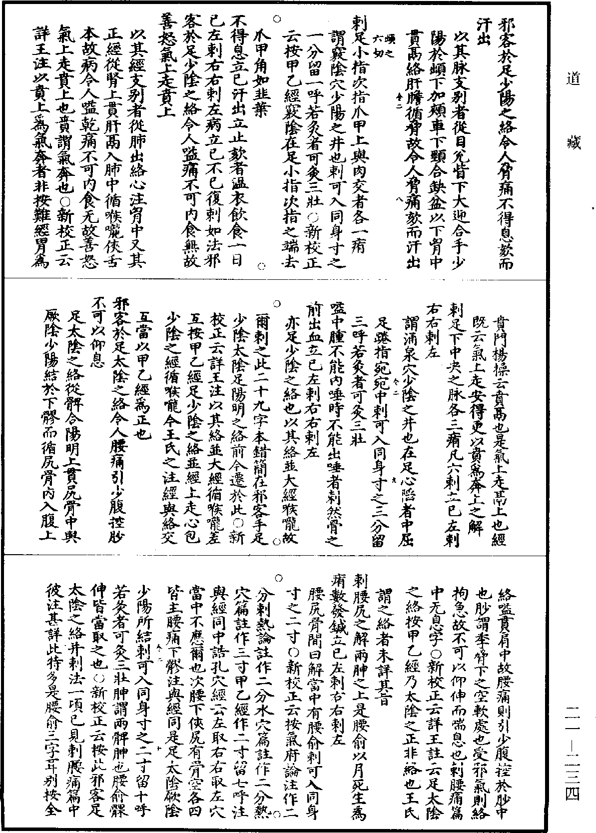 黃帝內經素問補註釋文《道藏》第21冊_第234頁