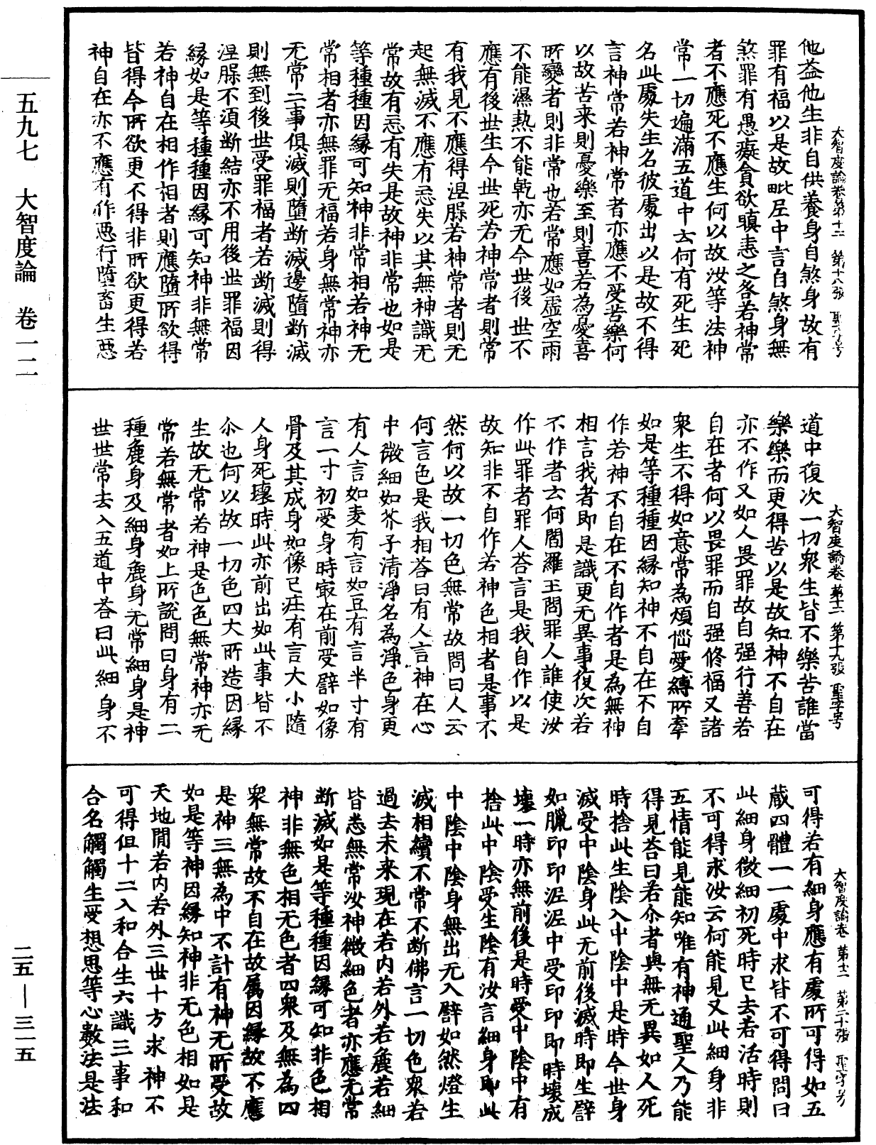 大智度論《中華大藏經》_第25冊_第315頁