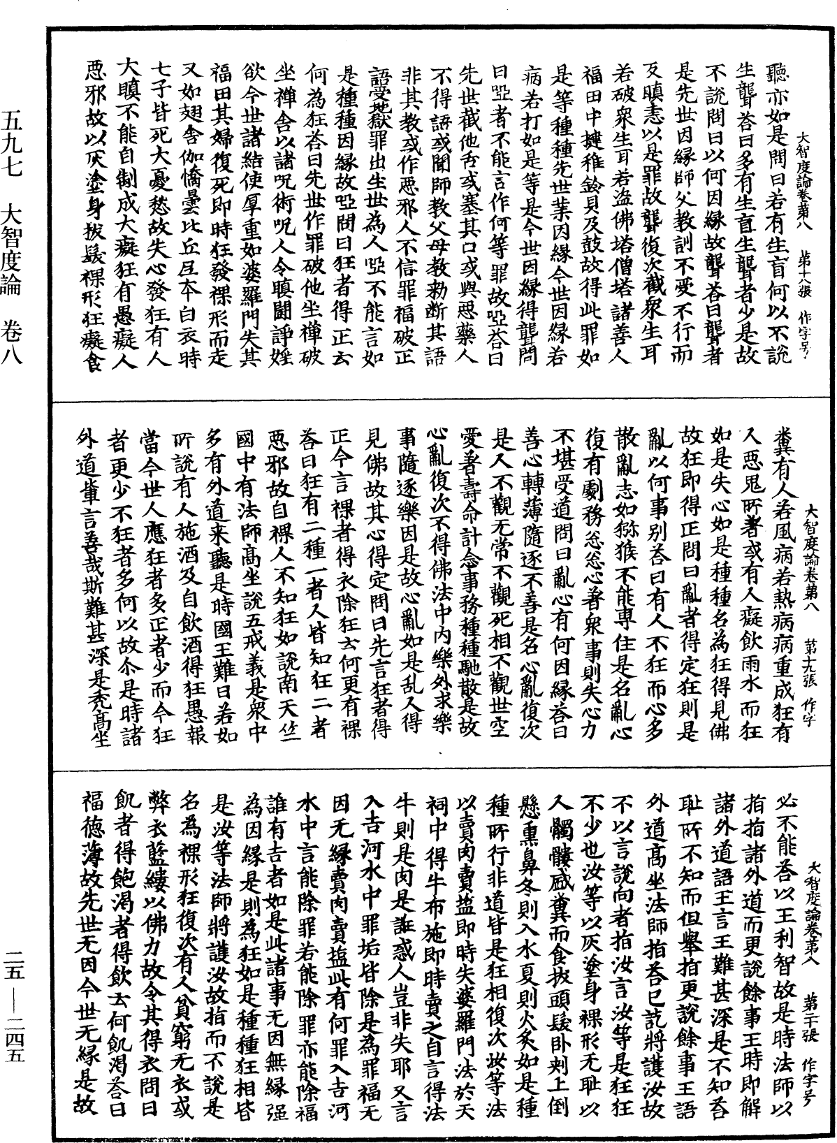 大智度論《中華大藏經》_第25冊_第245頁