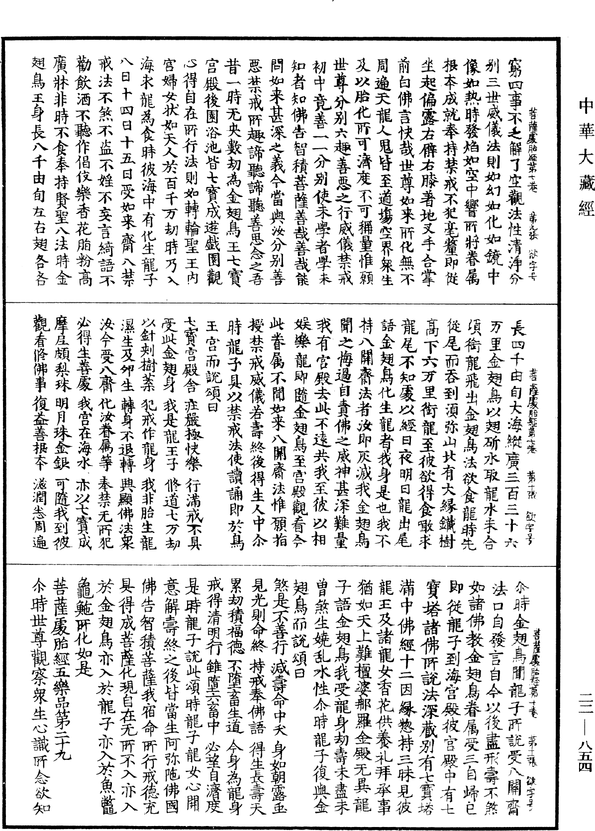 菩薩處胎經《中華大藏經》_第22冊_第854頁