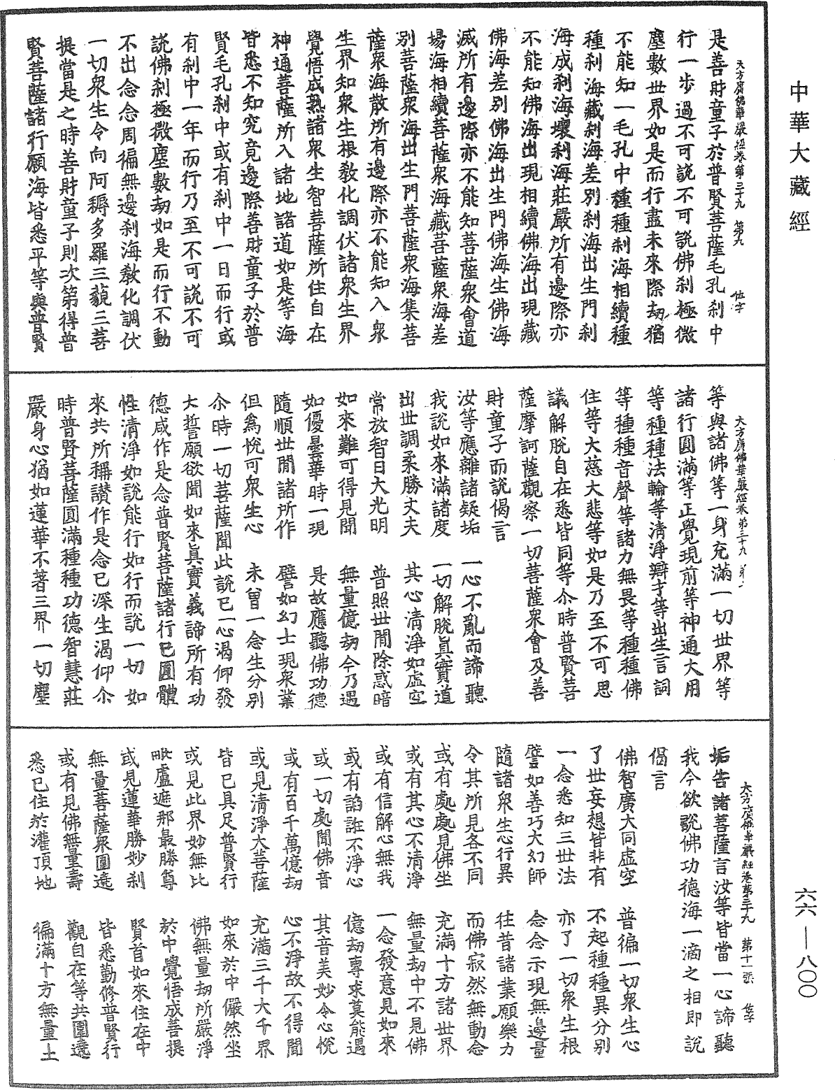 大方廣佛華嚴經《中華大藏經》_第66冊_第800頁