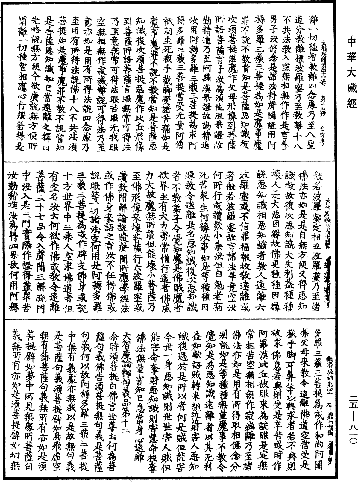 大智度論《中華大藏經》_第25冊_第810頁