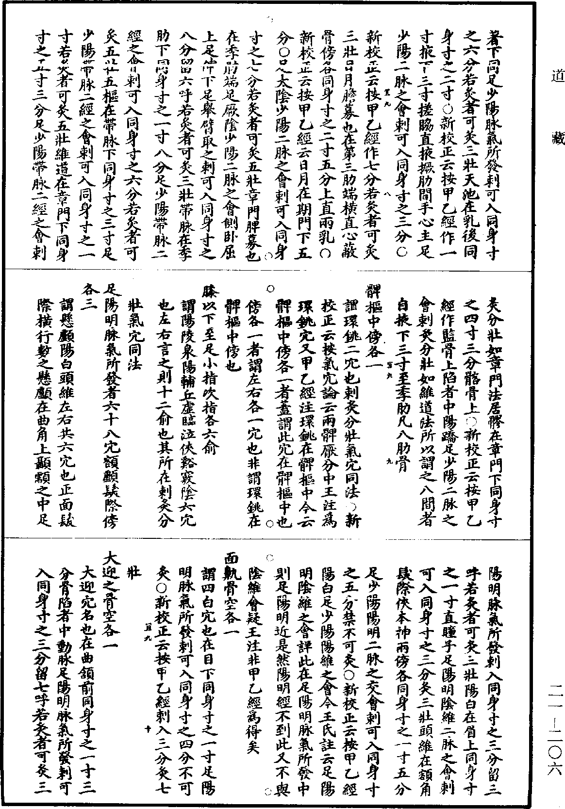 黃帝內經素問補註釋文《道藏》第21冊_第206頁