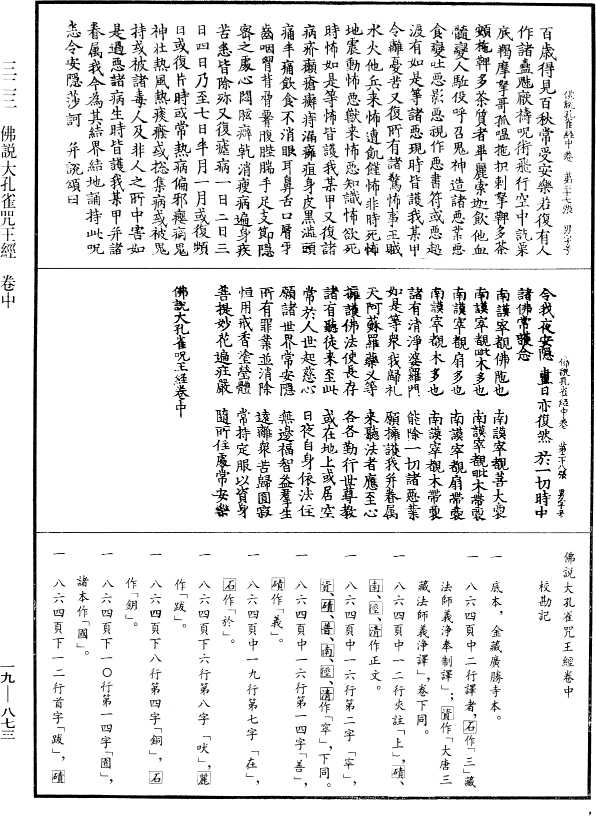 佛說大孔雀咒王經《中華大藏經》_第19冊_第873頁