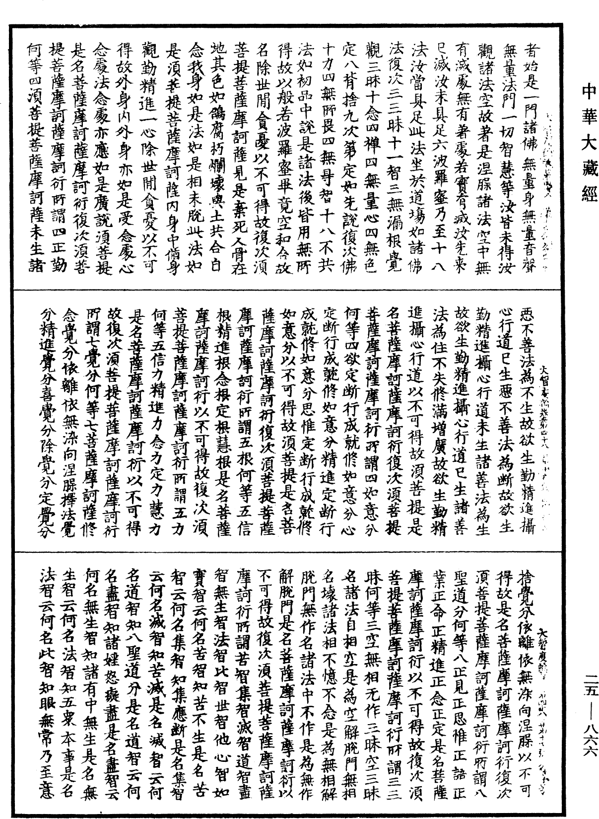 大智度論《中華大藏經》_第25冊_第866頁