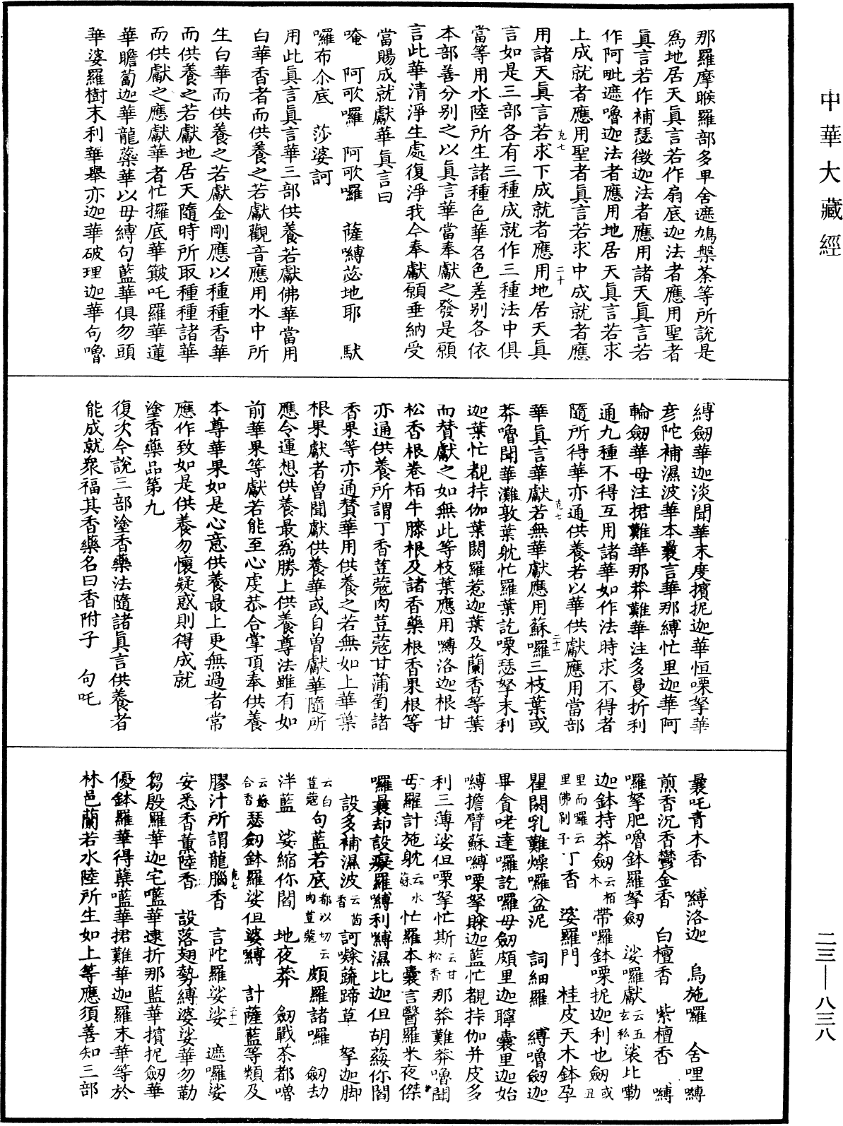 蘇悉地羯囉經(別本)《中華大藏經》_第23冊_第838頁