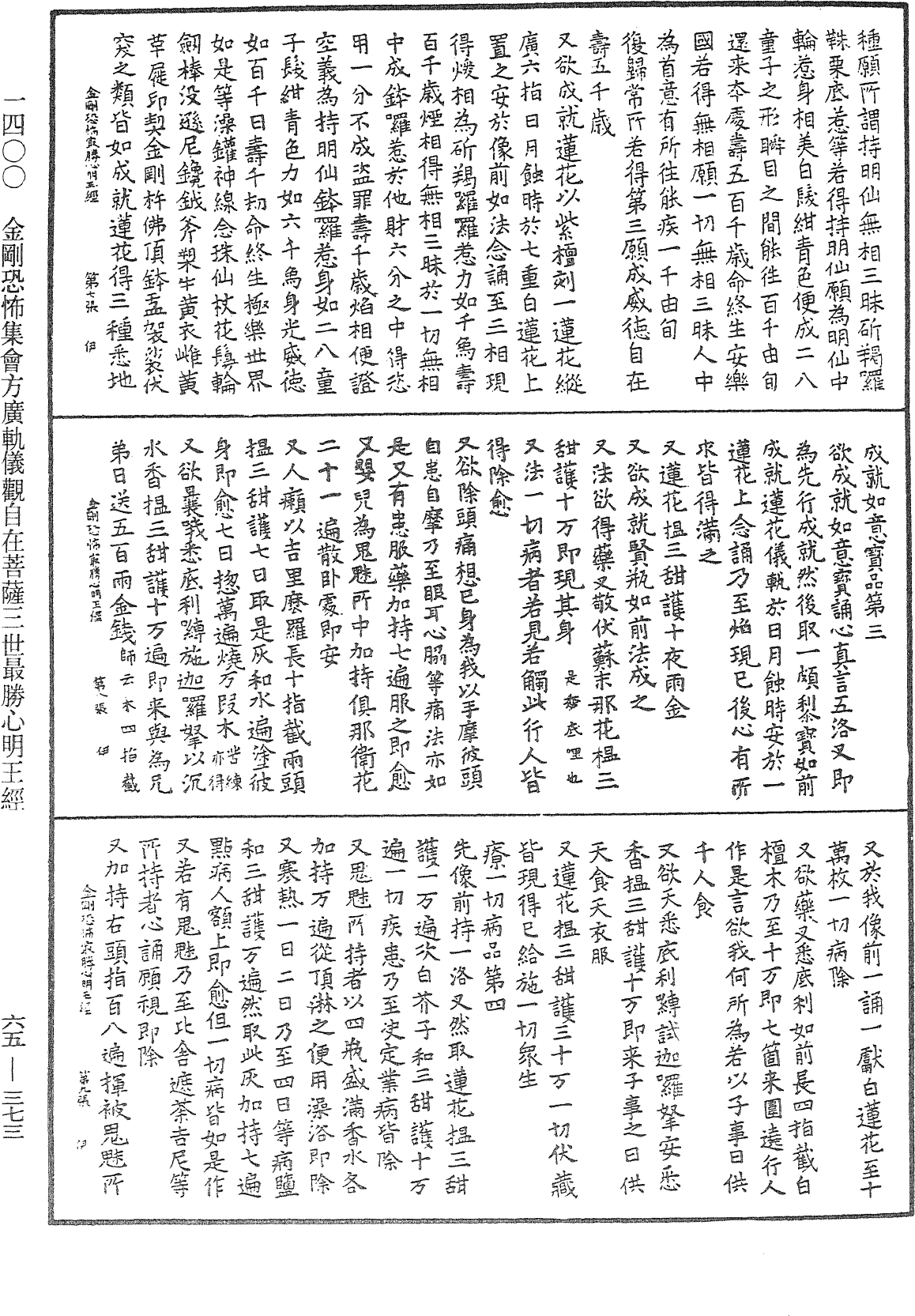 金剛恐怖集會方廣軌儀觀自在菩薩三世最勝心明王經《中華大藏經》_第65冊_第0373頁