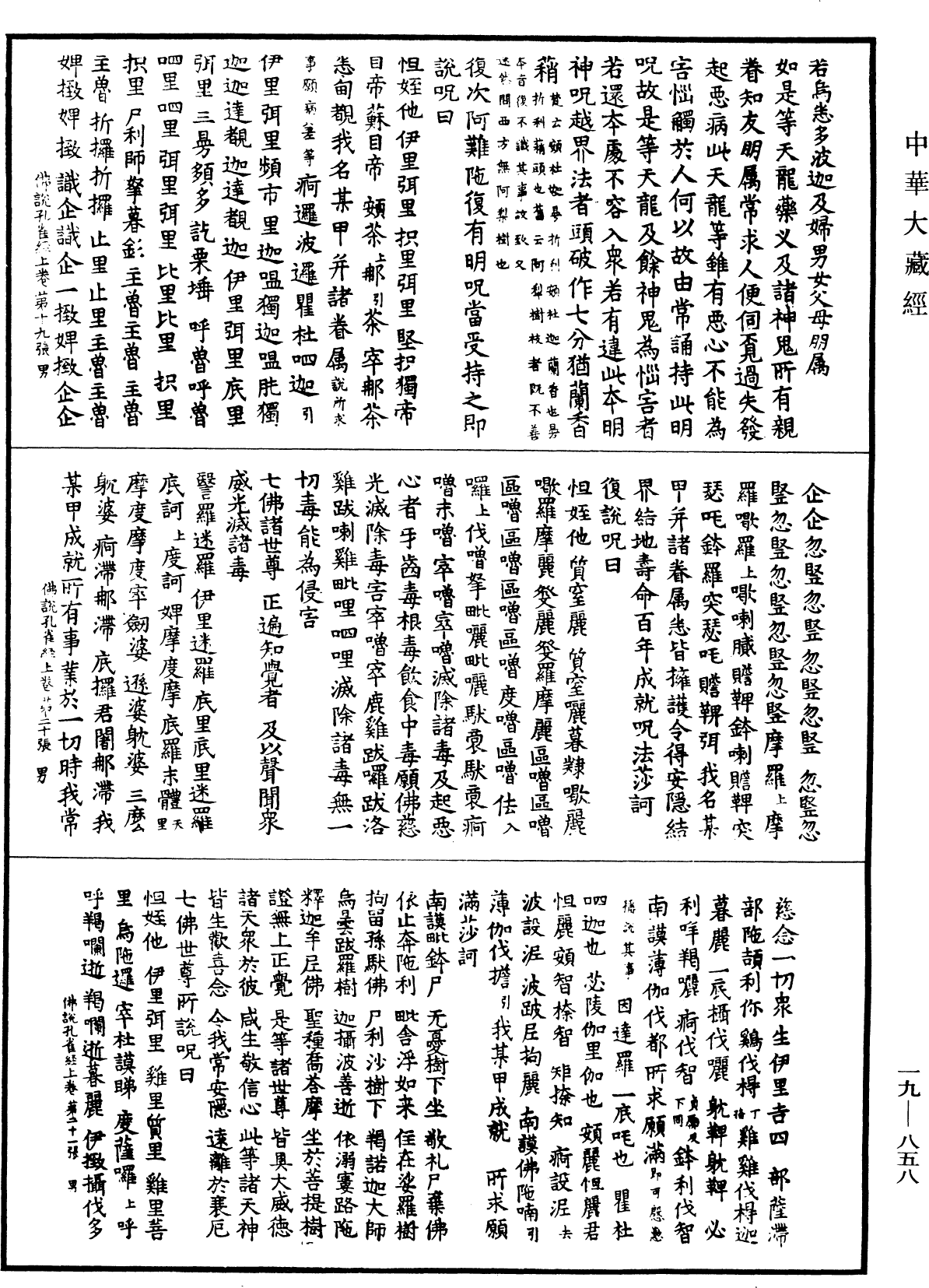 佛說大孔雀咒王經《中華大藏經》_第19冊_第858頁