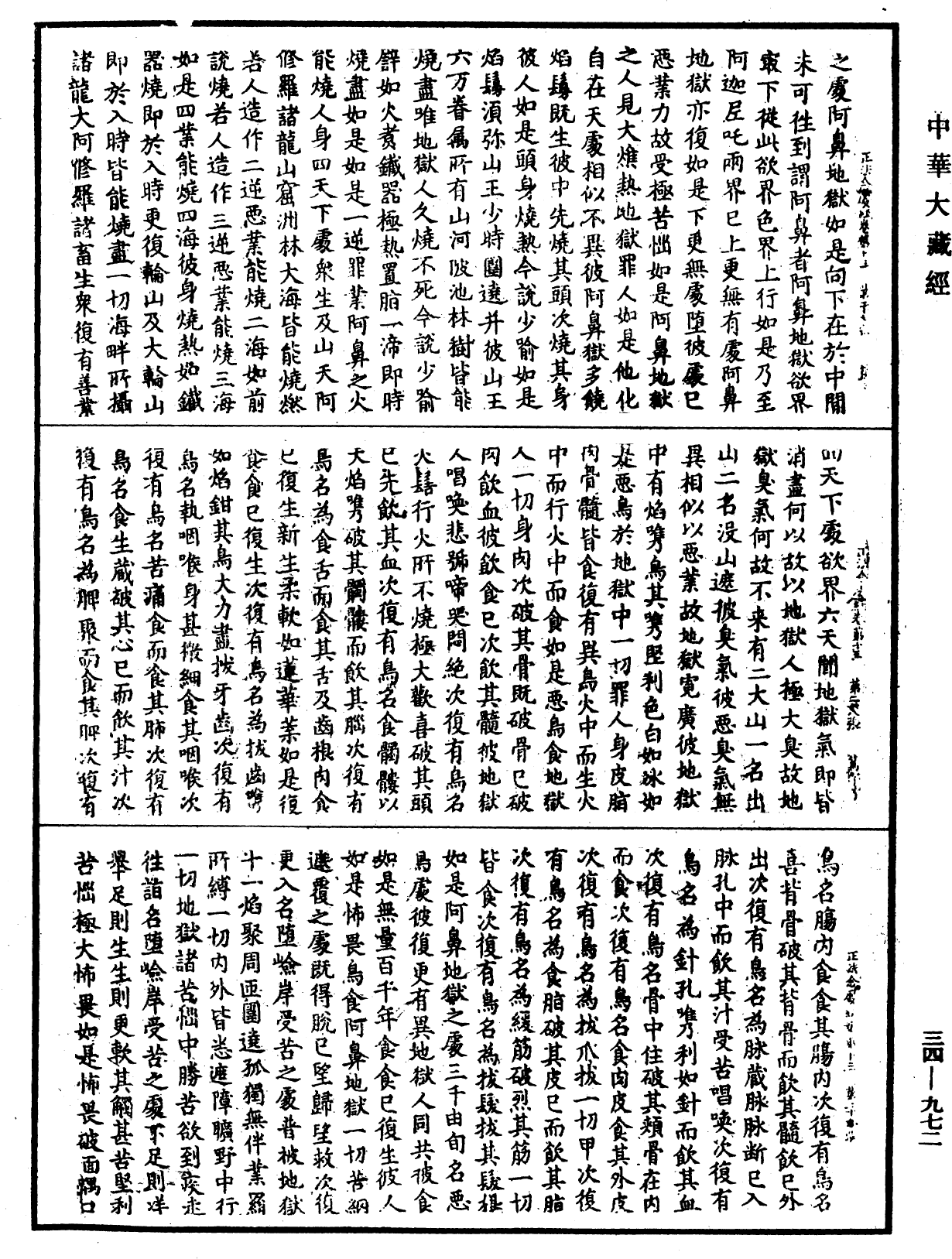 正法念處經《中華大藏經》_第34冊_第0972頁