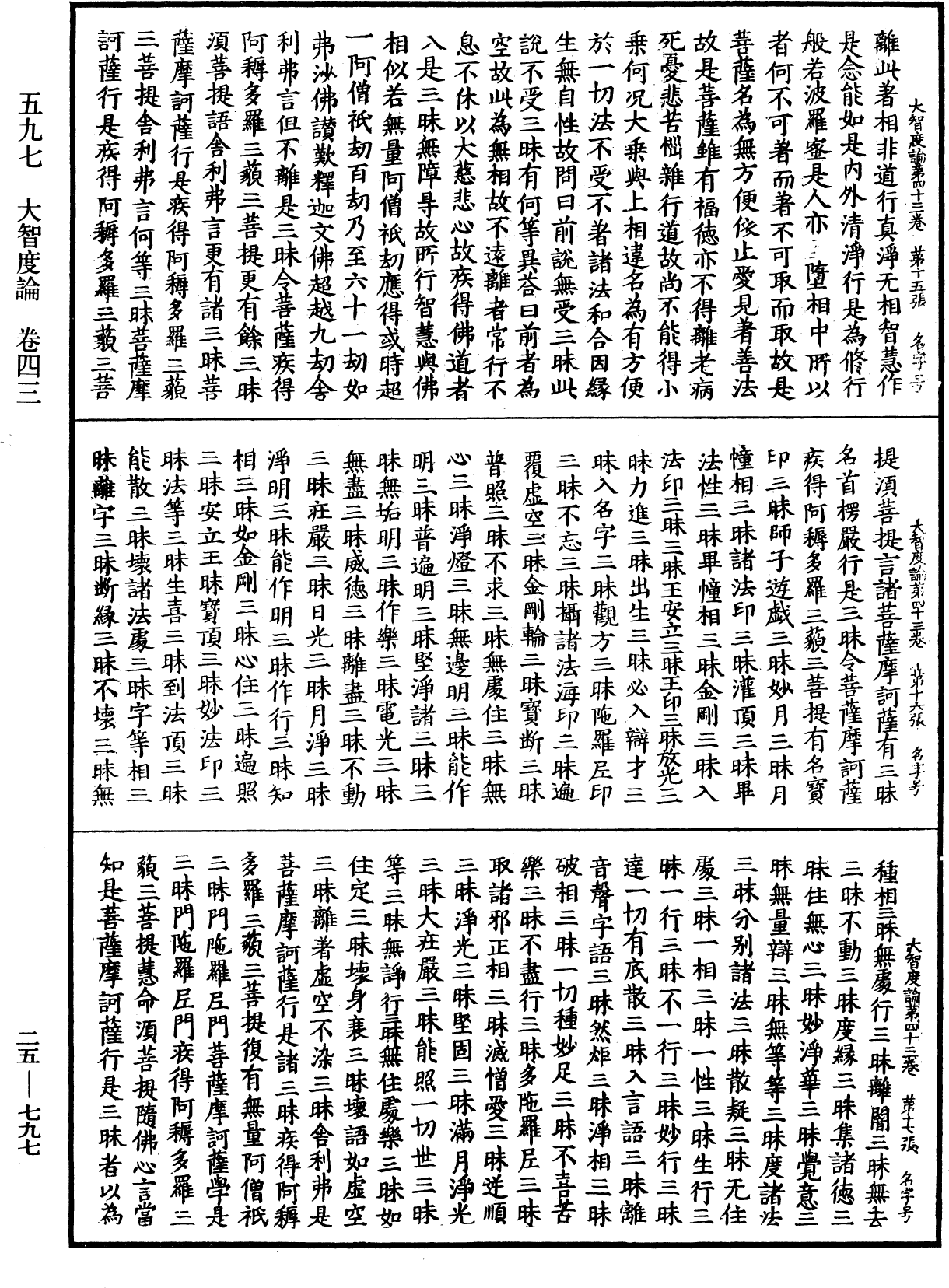 大智度論《中華大藏經》_第25冊_第797頁