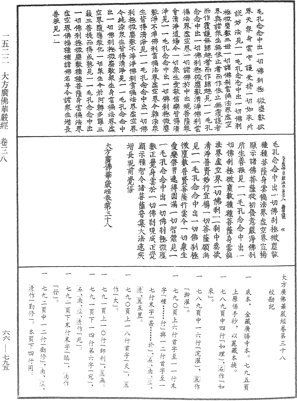 大方廣佛華嚴經《中華大藏經》_第66冊_第795頁