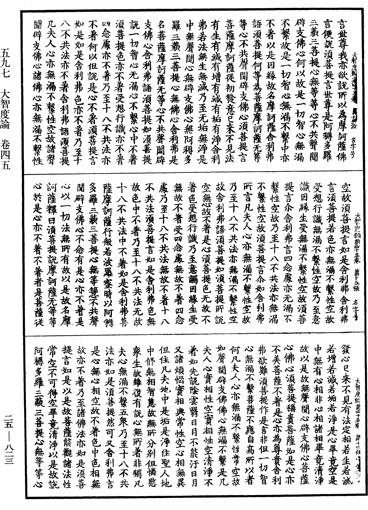 大智度論《中華大藏經》_第25冊_第823頁