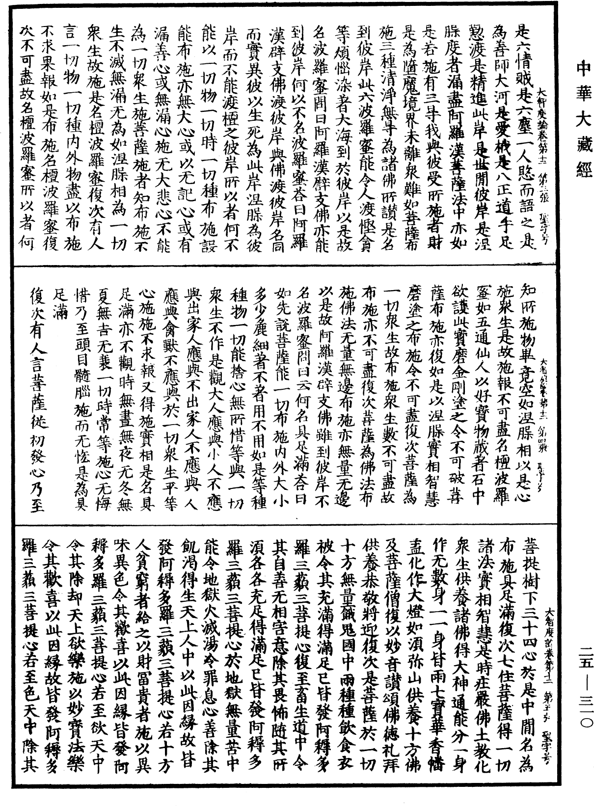 大智度論《中華大藏經》_第25冊_第310頁