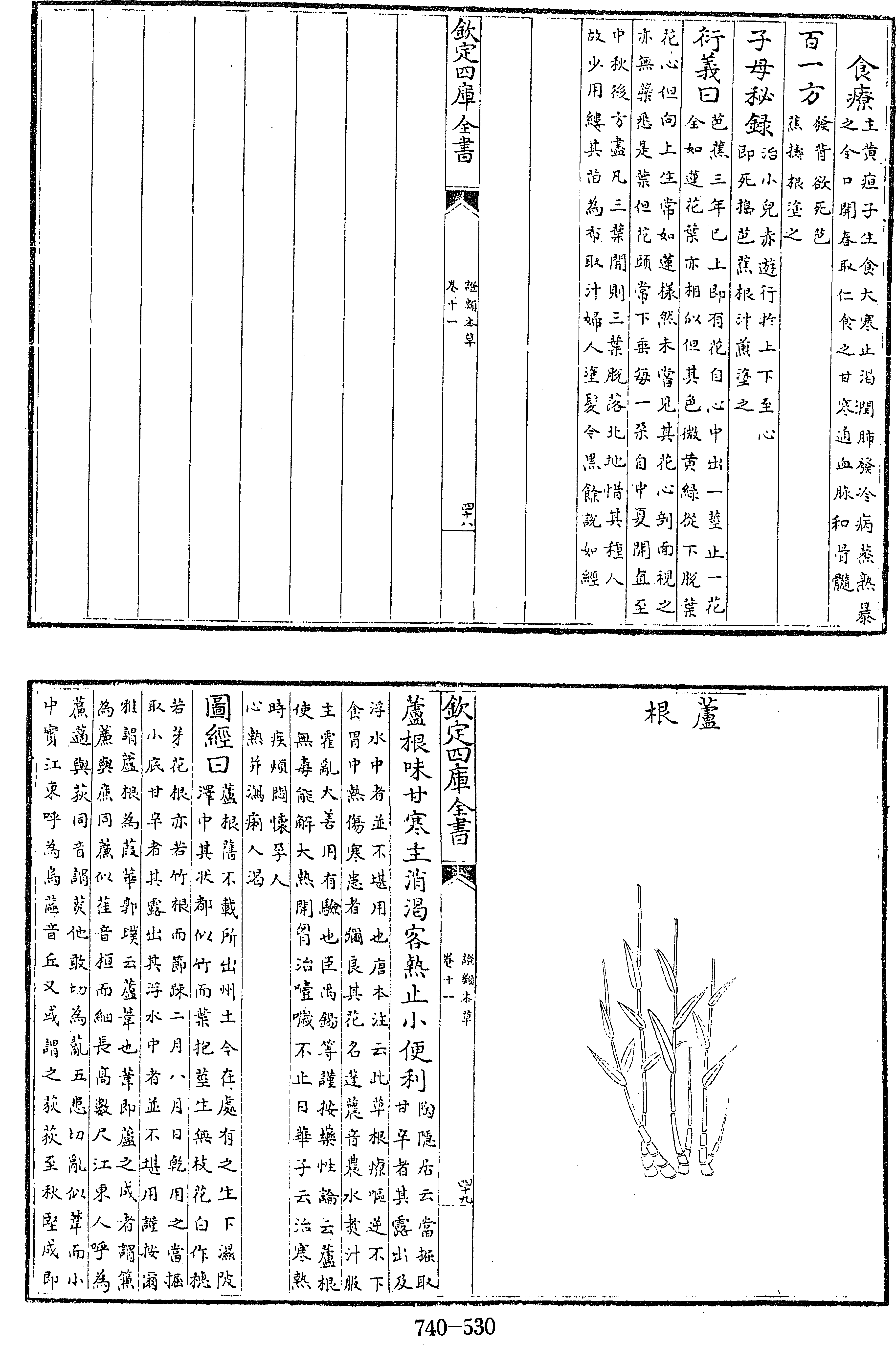 530頁