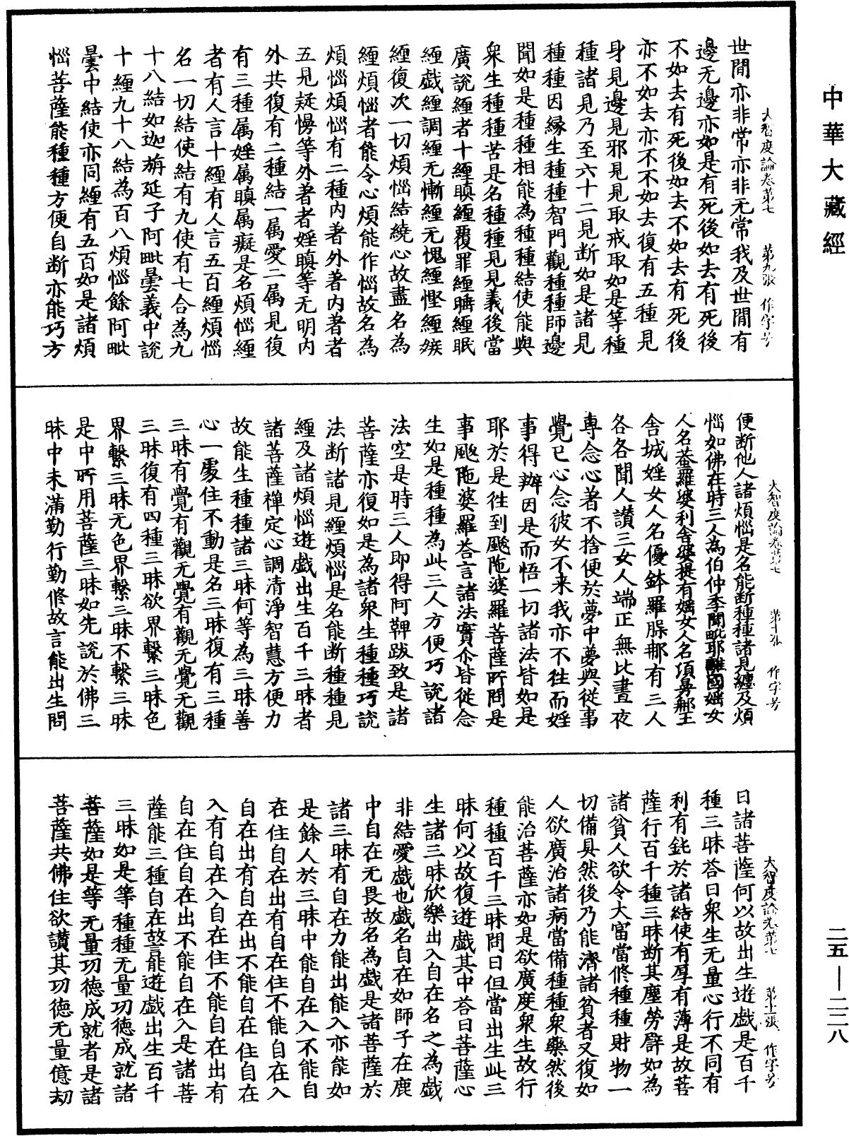 大智度論《中華大藏經》_第25冊_第228頁