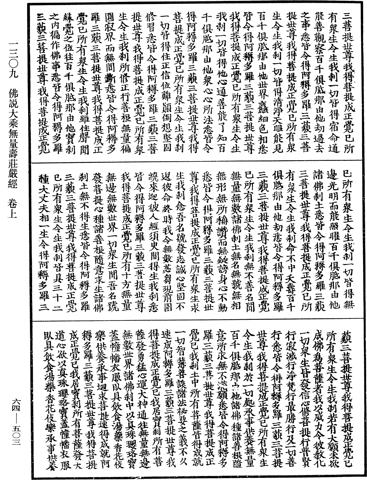 佛說大乘無量壽莊嚴經《中華大藏經》_第64冊_第0503頁