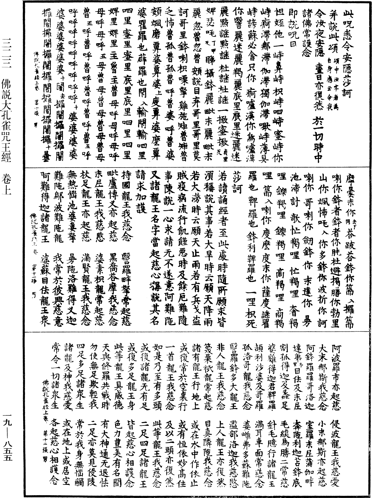 佛說大孔雀咒王經《中華大藏經》_第19冊_第855頁