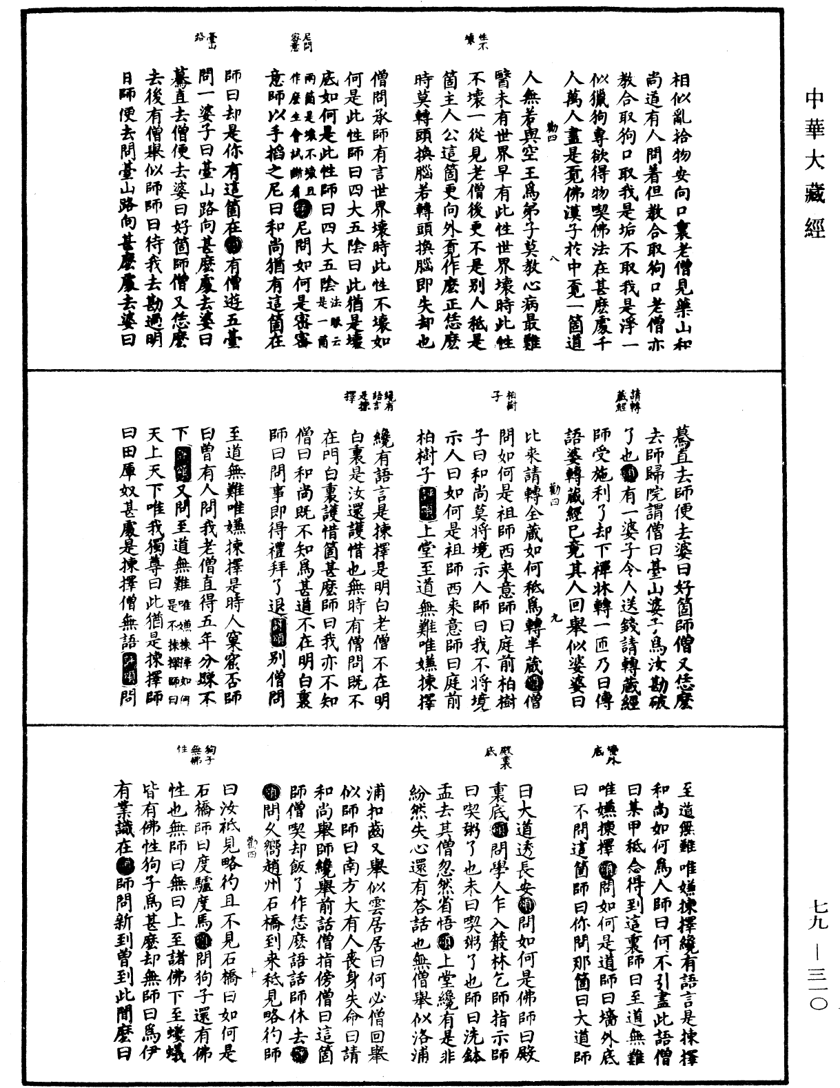 禪宗正脉《中華大藏經》_第79冊_第310頁