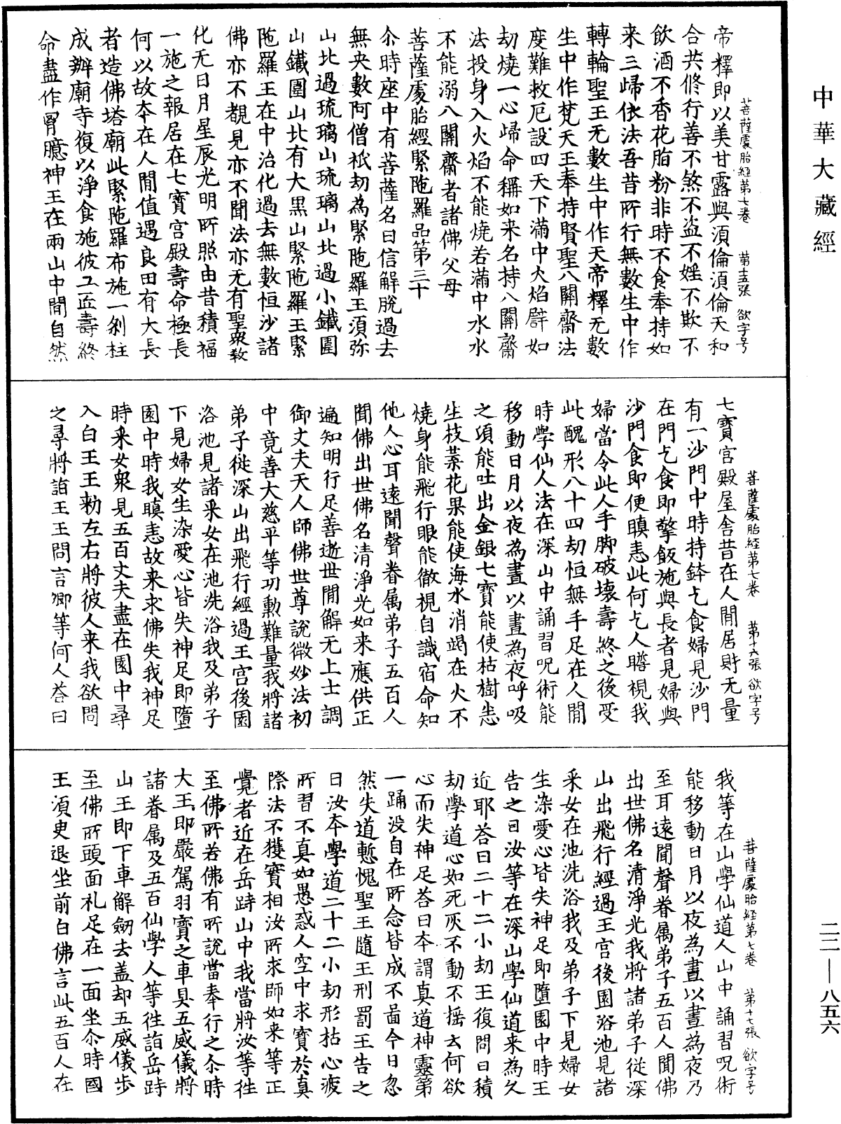 菩薩處胎經《中華大藏經》_第22冊_第856頁