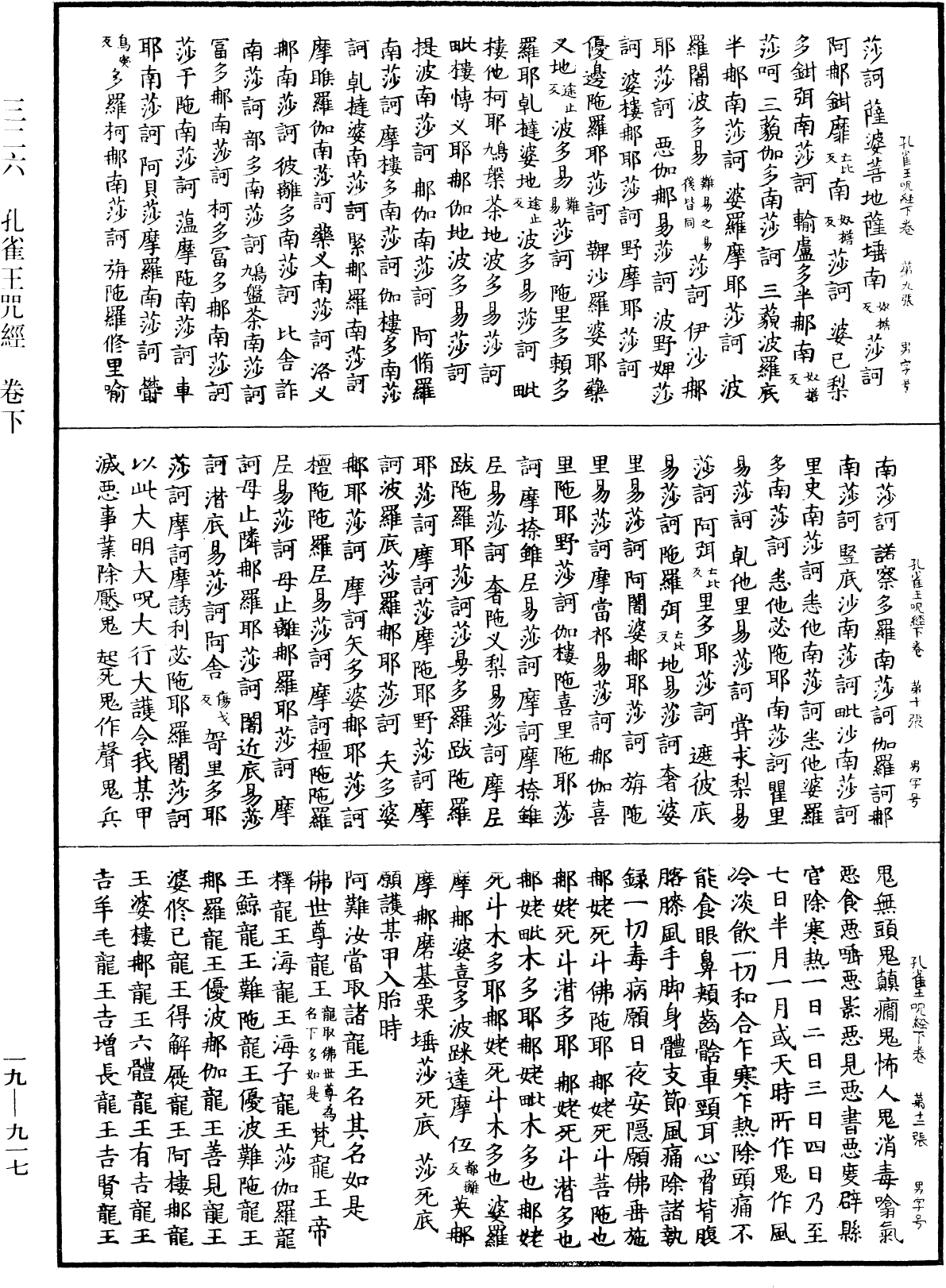 孔雀王咒經《中華大藏經》_第19冊_第917頁