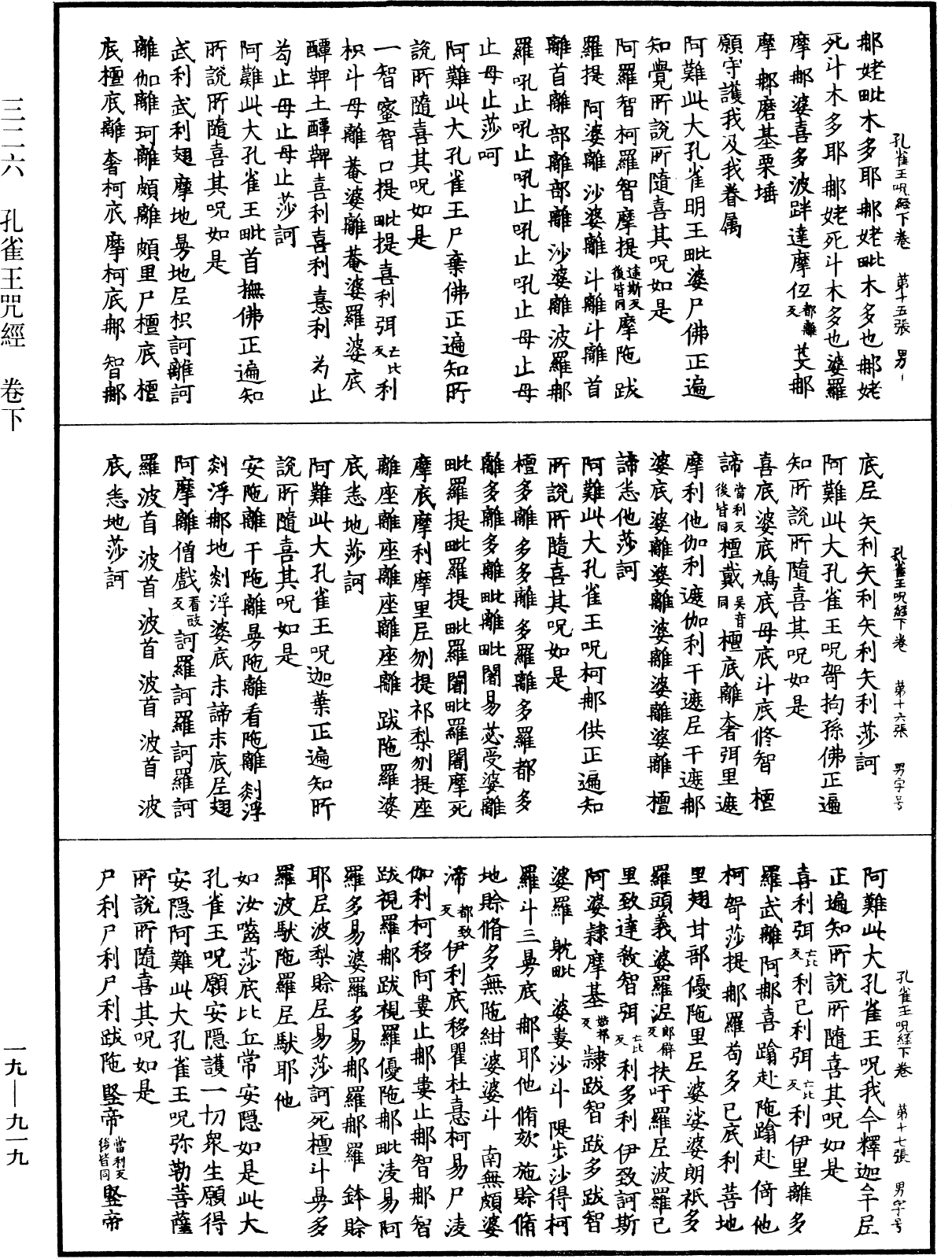 孔雀王咒經《中華大藏經》_第19冊_第919頁