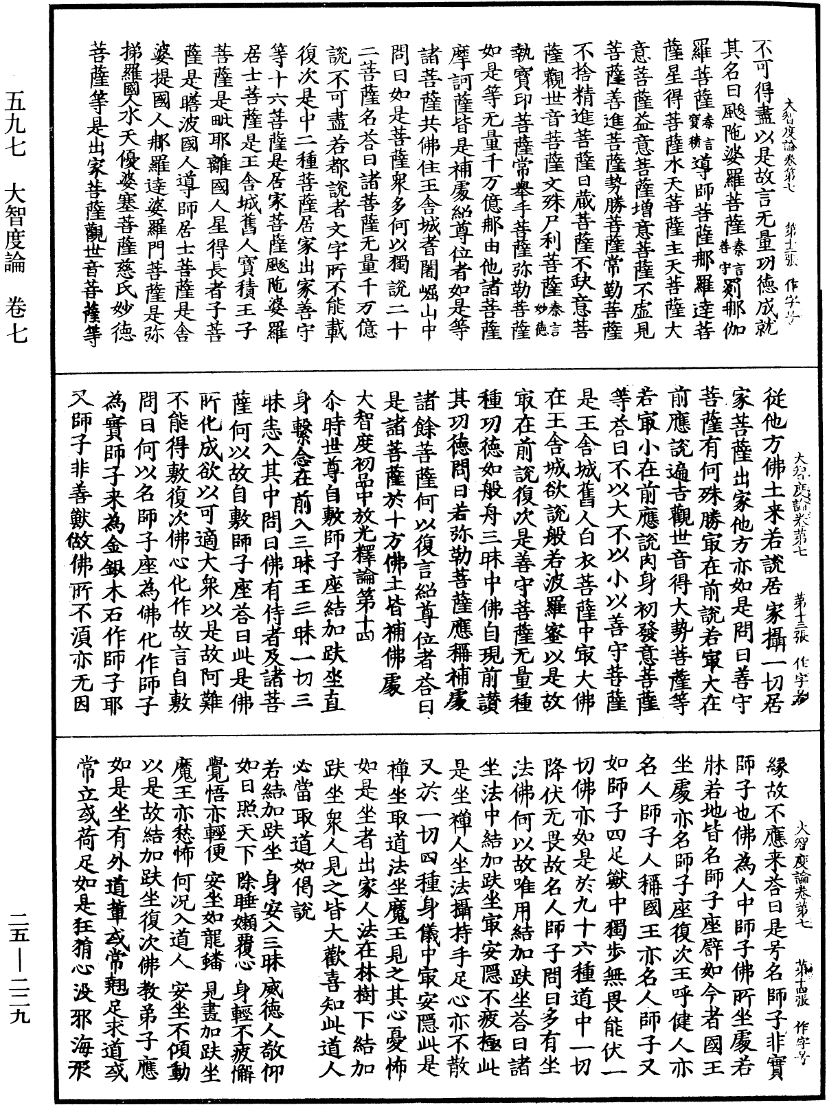 大智度論《中華大藏經》_第25冊_第229頁