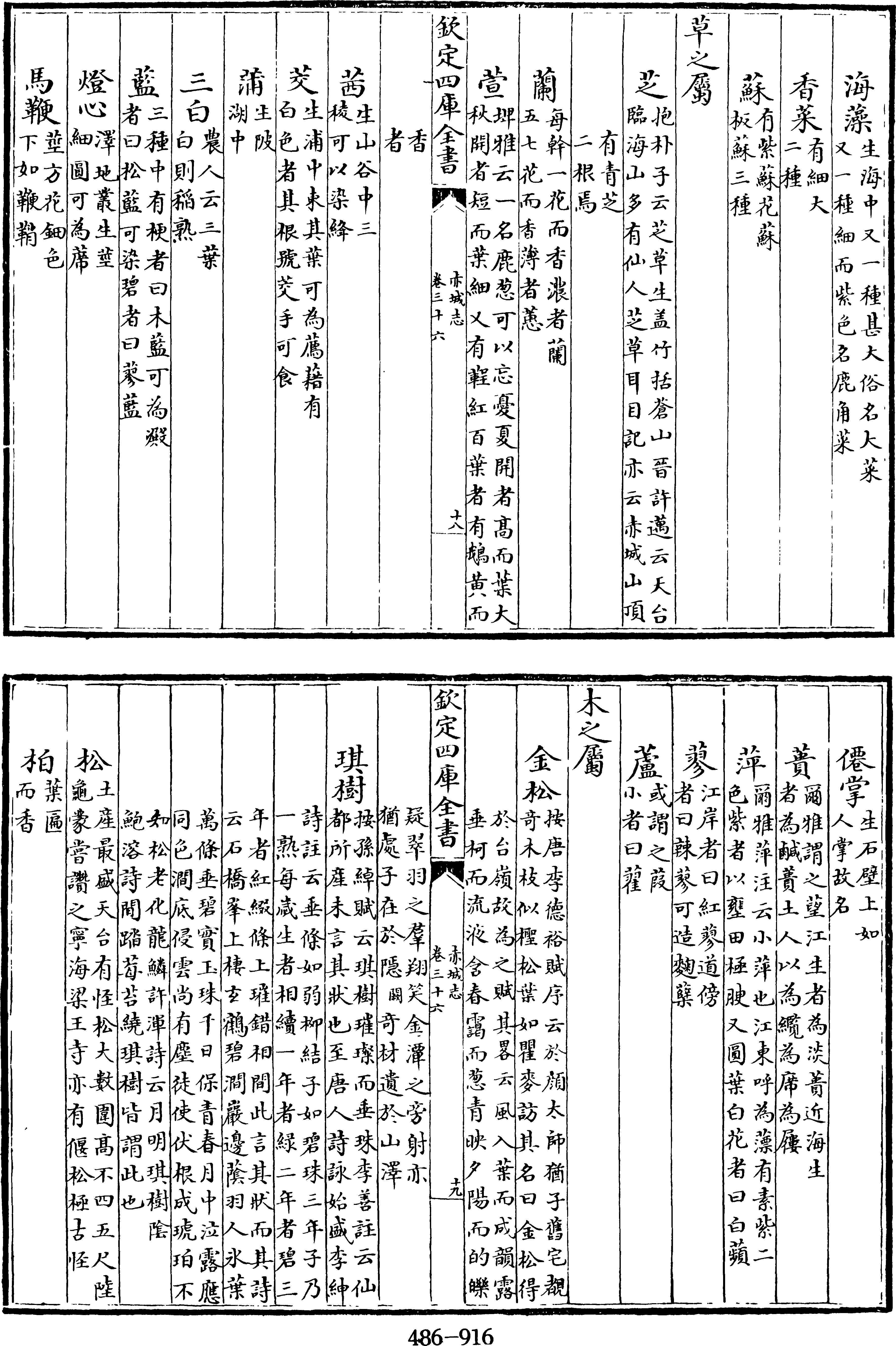 350頁