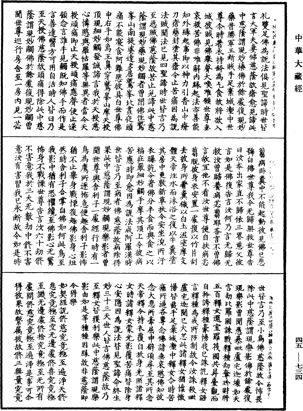 阿毗達磨大毗婆沙論《中華大藏經》_第45冊_第734頁