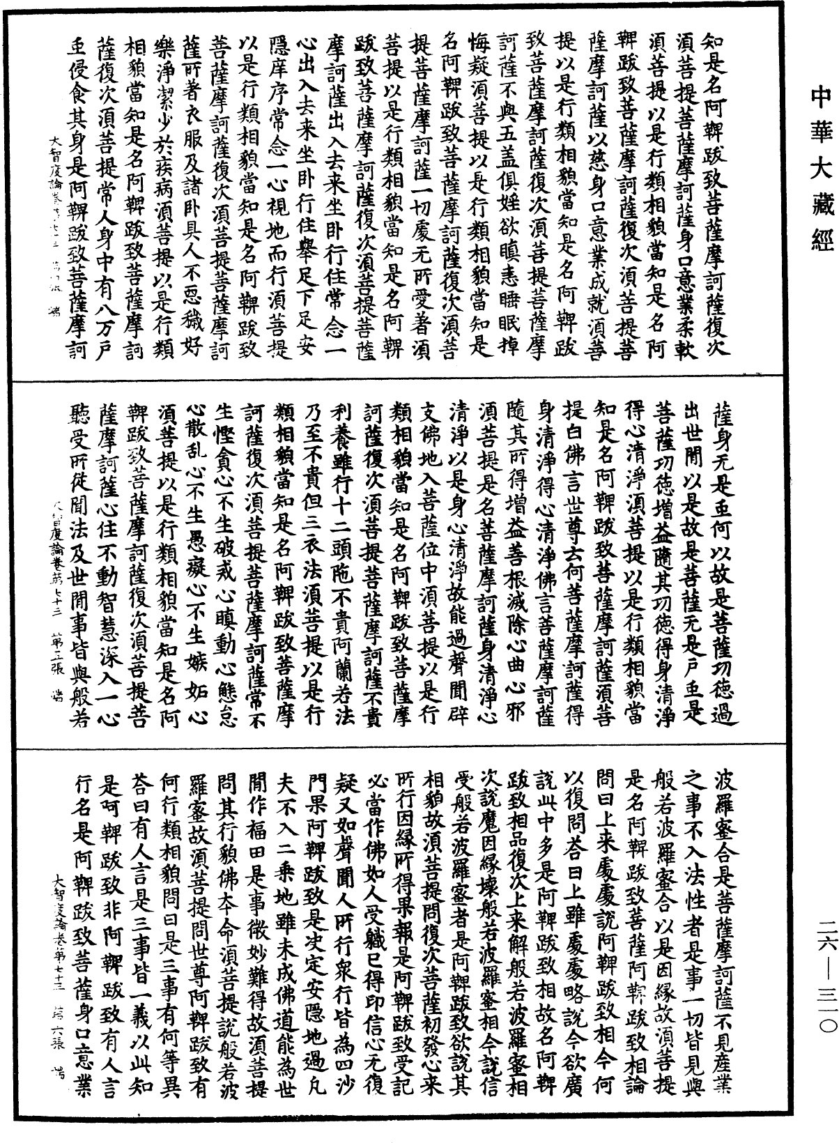 大智度論《中華大藏經》_第26冊_第310頁