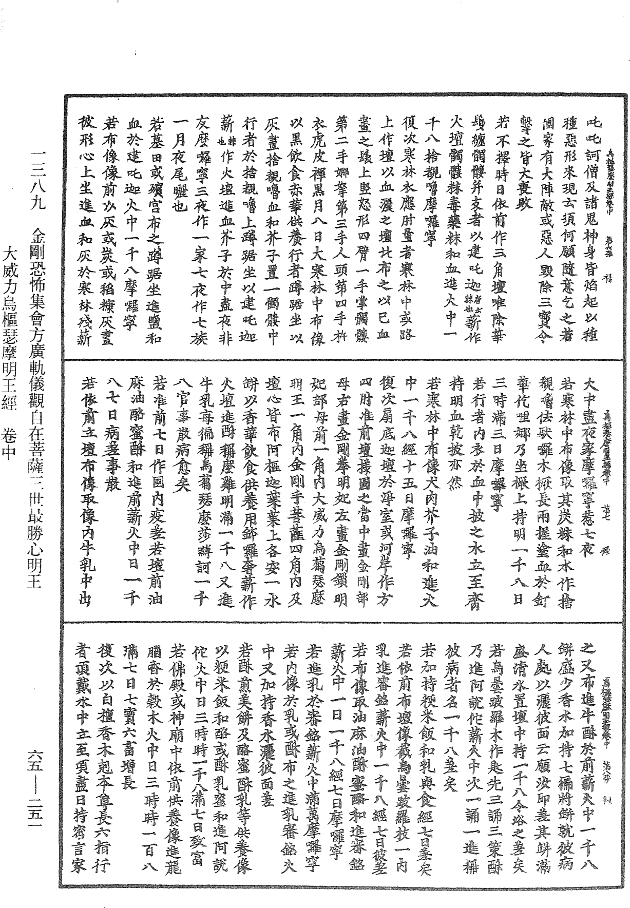 金剛恐怖集會方廣軌儀觀自在菩薩三世最勝心明王大威力烏樞瑟摩明王經《中華大藏經》_第65冊_第0251頁